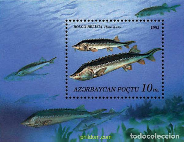 Sellos: 83830 MNH AZERBAIYAN 1993 PECES