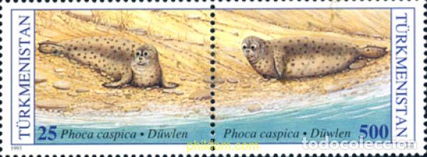 Sellos: 1319 MNH TURKMENISTAN 1993 FOCA DEL CASPIO
