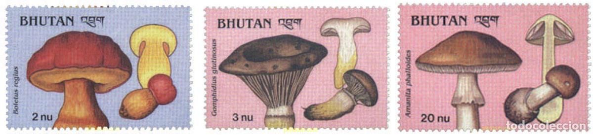 Sellos: 292402 MNH BHUTAN 1989 SETAS