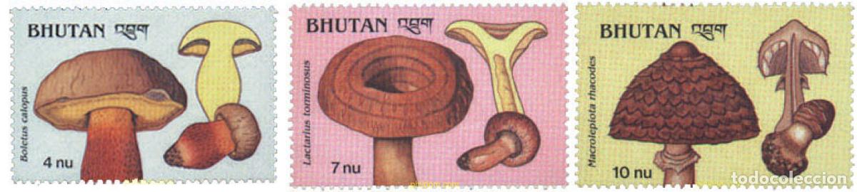 Sellos: 292723 MNH BHUTAN 1989 SETAS