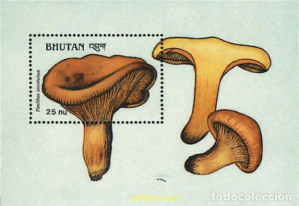 Sellos: 257283 MNH BHUTAN 1989 SETAS