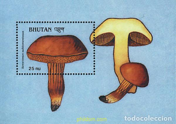 Sellos: 293091 MNH BHUTAN 1989 SETAS