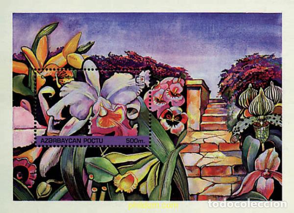 Sellos: 83855 MNH AZERBAIYAN 1995 SINGAPORE 95. EXPOSICION FILATELICA INTERNACIONAL. ORQUIDEAS