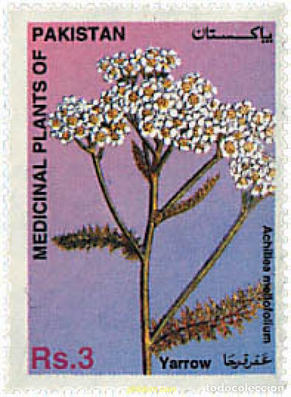 Sellos: 95882 MNH PAKISTAN 1996 PLANTAS MEDICINALES DE PAKISTAN