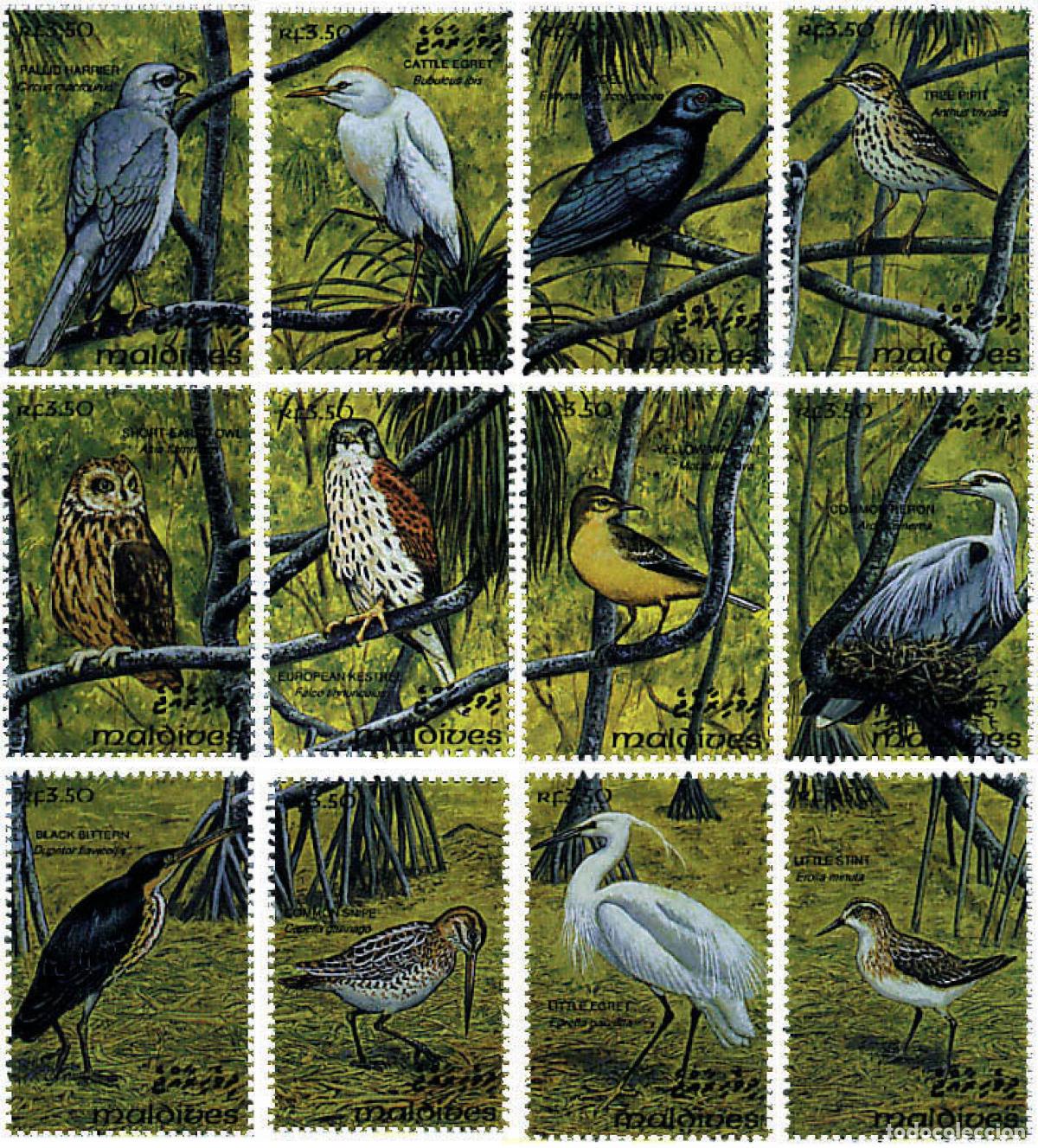 Sellos: 315469 MNH MALDIVAS 1993 AVES