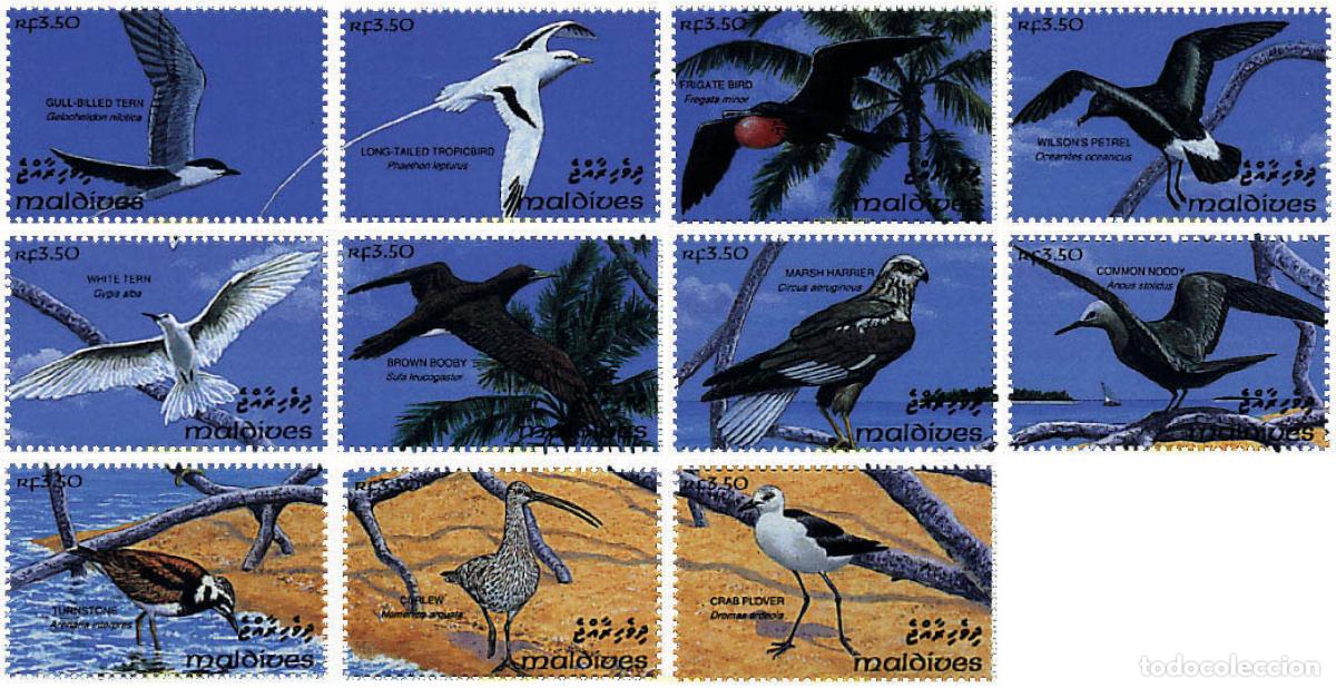 Sellos: 315470 MNH MALDIVAS 1993 AVES