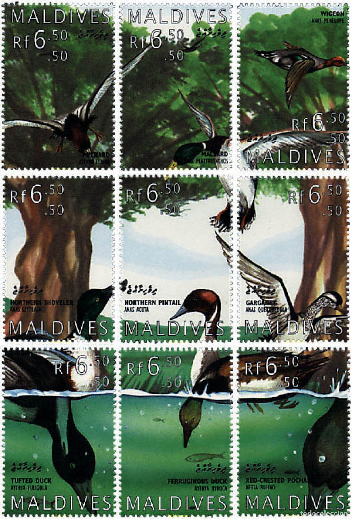 Sellos: 315465 MNH MALDIVAS 1995 AVES MARINAS