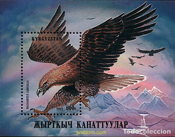 Sellos: 31471 MNH KIRGUIZISTAN 1995 AVE RAPAZ