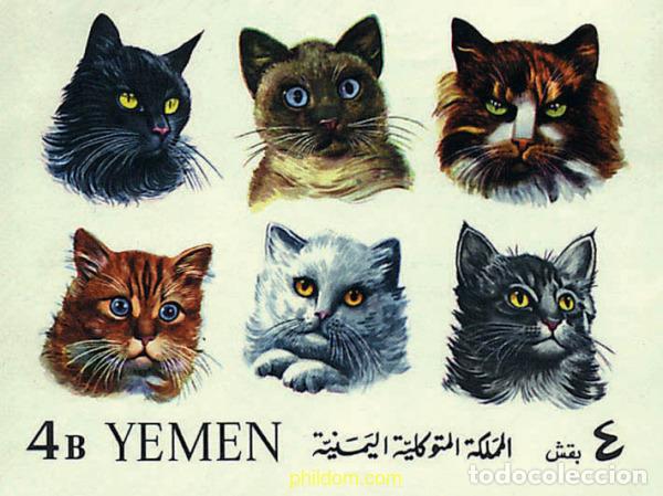 Sellos: 36829 MNH YEMEN. Reino 1965 GATOS