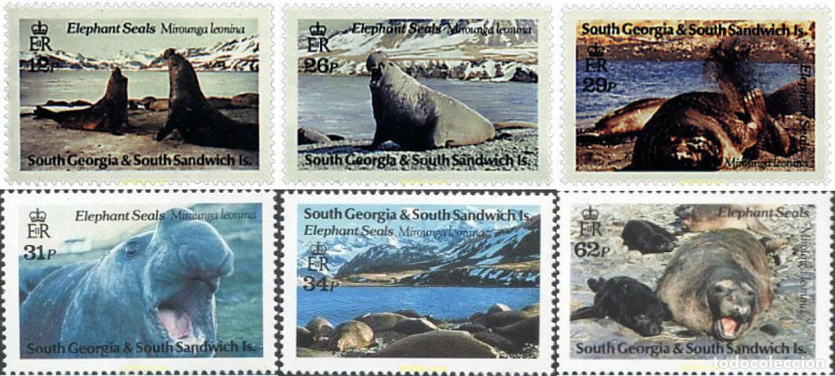 Sellos: 45567 MNH GEORGIA SUR Y SANDWICH SUR 1991 ELEFANTE DE MAR