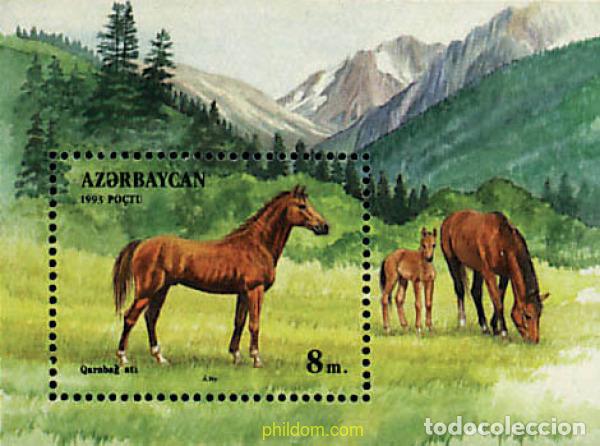 Sellos: 83812 MNH AZERBAIYAN 1993 CABALLOS