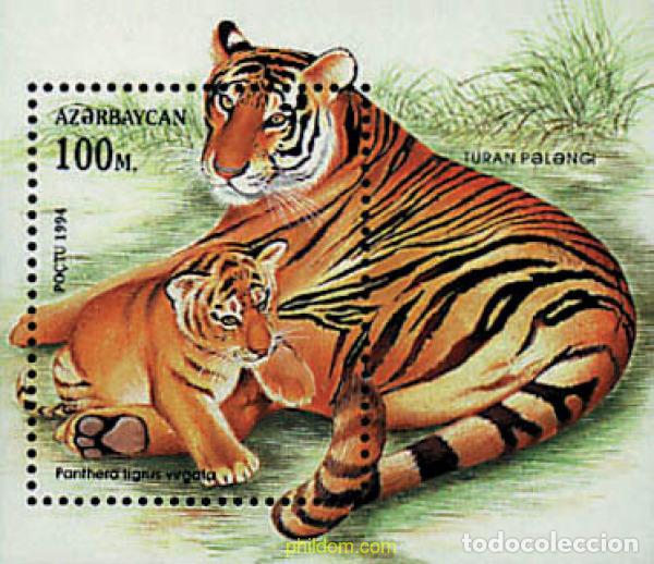 Sellos: 83843 MNH AZERBAIYAN 1994 FELINOS
