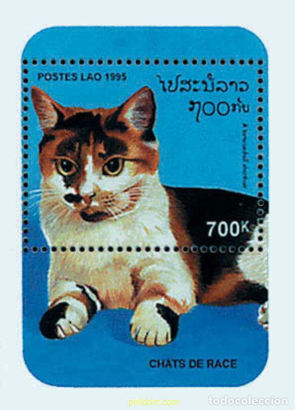 Sellos: 37897 MNH LAOS 1995 GATOS DE RAZA