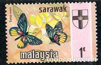 Sellos: SARAWAK (ESTADO DE MALASIA) IVERT N&ordm; 226, MARIPOSA: JEZABEL MALAYA, USADO