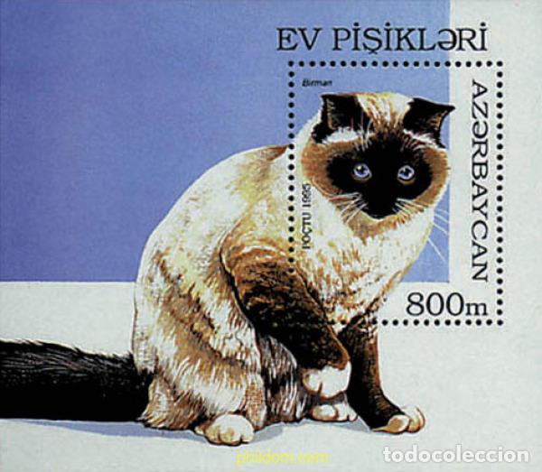 Sellos: 83860 MNH AZERBAIYAN 1995 GATOS