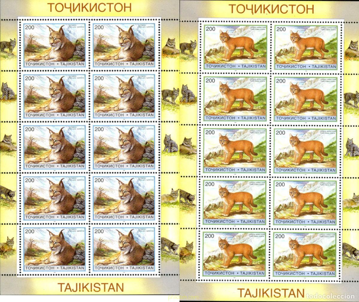 Sellos: 11424 MNH TAYIKISTAN 1996 FELINOS