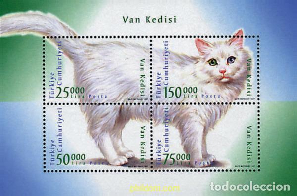 Sellos: 37995 MNH TURQUIA 1997 GATO