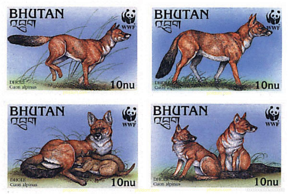 Sellos: 74182 MNH BHUTAN 1997 PERRO ROJO ASIATICO