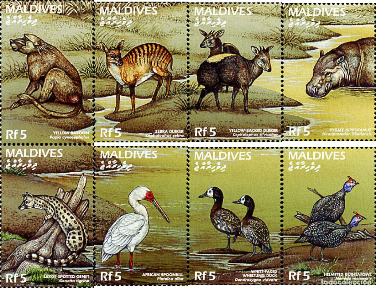 Sellos: 340927 MNH MALDIVAS 1996 MAMIFEROS