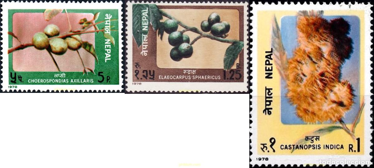 Sellos: 347279 MNH NEPAL 1978 FRUTOS