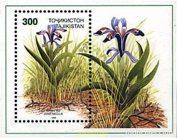 Sellos: 92159 MNH TAYIKISTAN 1998 FLORES