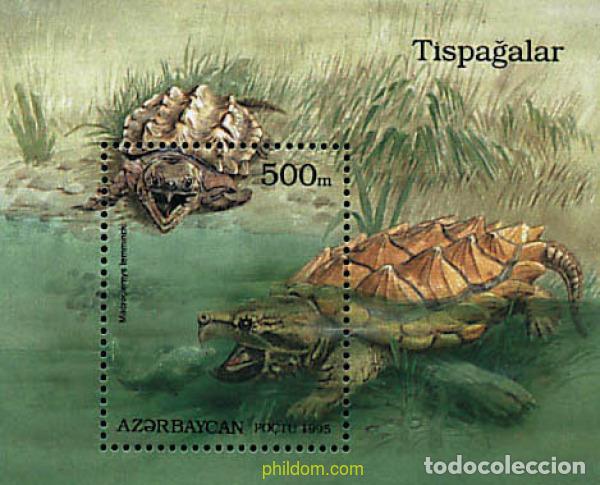 Sellos: 83850 MNH AZERBAIYAN 1995 TORTUGAS