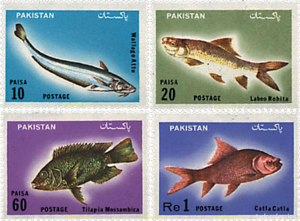 Sellos: 51075 MNH PAKISTAN 1973 PECES