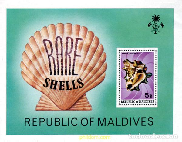 Sellos: 52877 MNH MALDIVAS 1979 CONCHAS