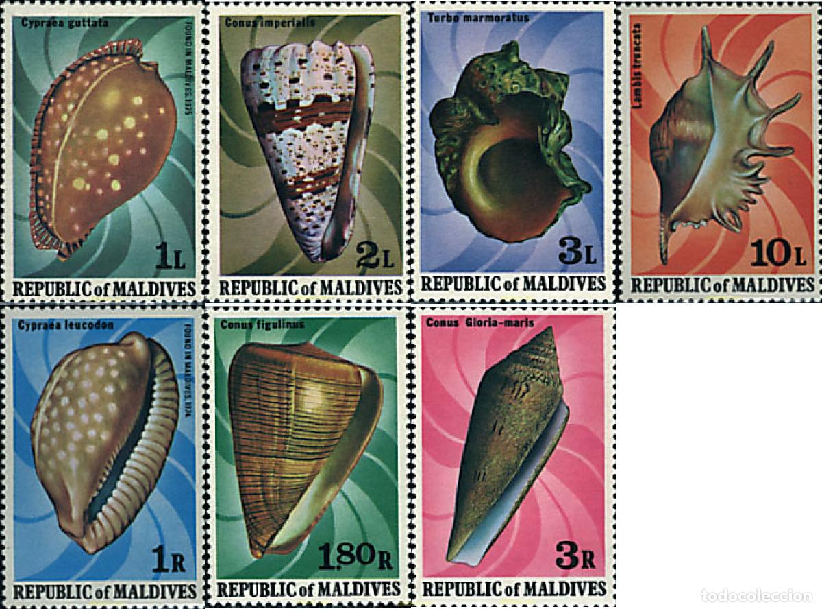 Sellos: 52855 MNH MALDIVAS 1979 CONCHAS