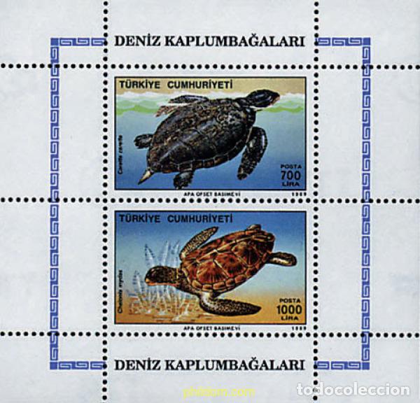 Sellos: 54570 MNH TURQUIA 1989 TORTUGAS MARINAS