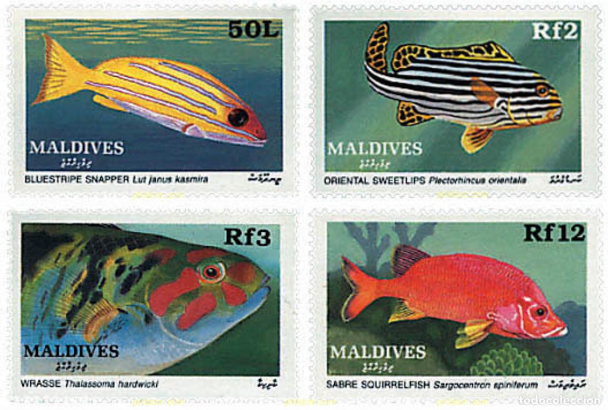 Sellos: 340633 MNH MALDIVAS 1989 PECES