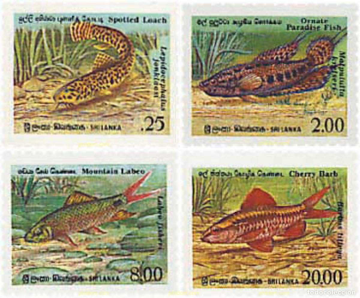 Sellos: 28541 MNH SRI LANKA 1990 PECES