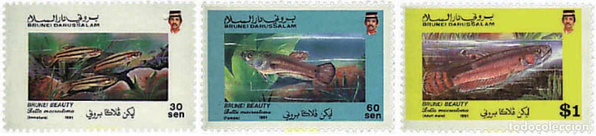 Sellos: 28552 MNH BRUNEI 1991 PECES - Foto 1