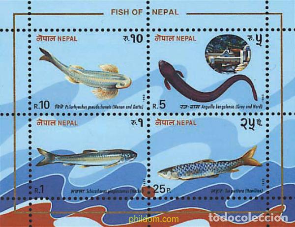 Sellos: 54577 MNH NEPAL 1993 PECES