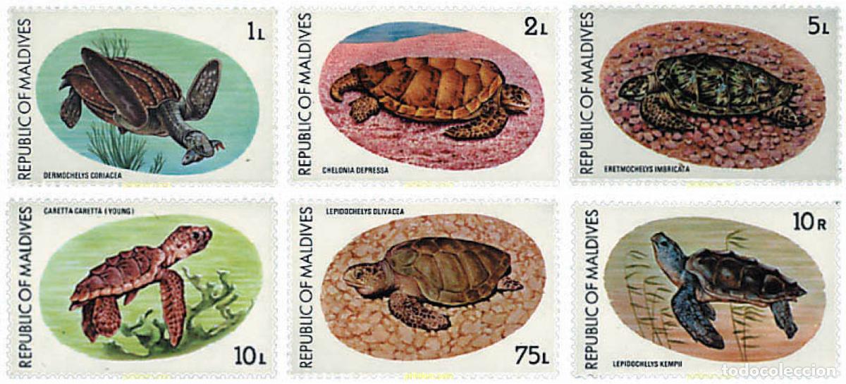 Sellos: 50335 MNH MALDIVAS 1980 TORTUGAS MARINAS