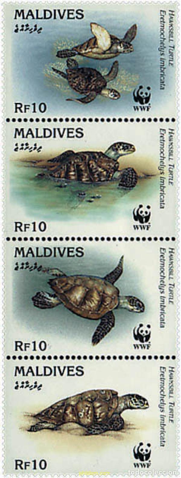 Sellos: 5239 MNH MALDIVAS 1995 TORTUGA CAREY