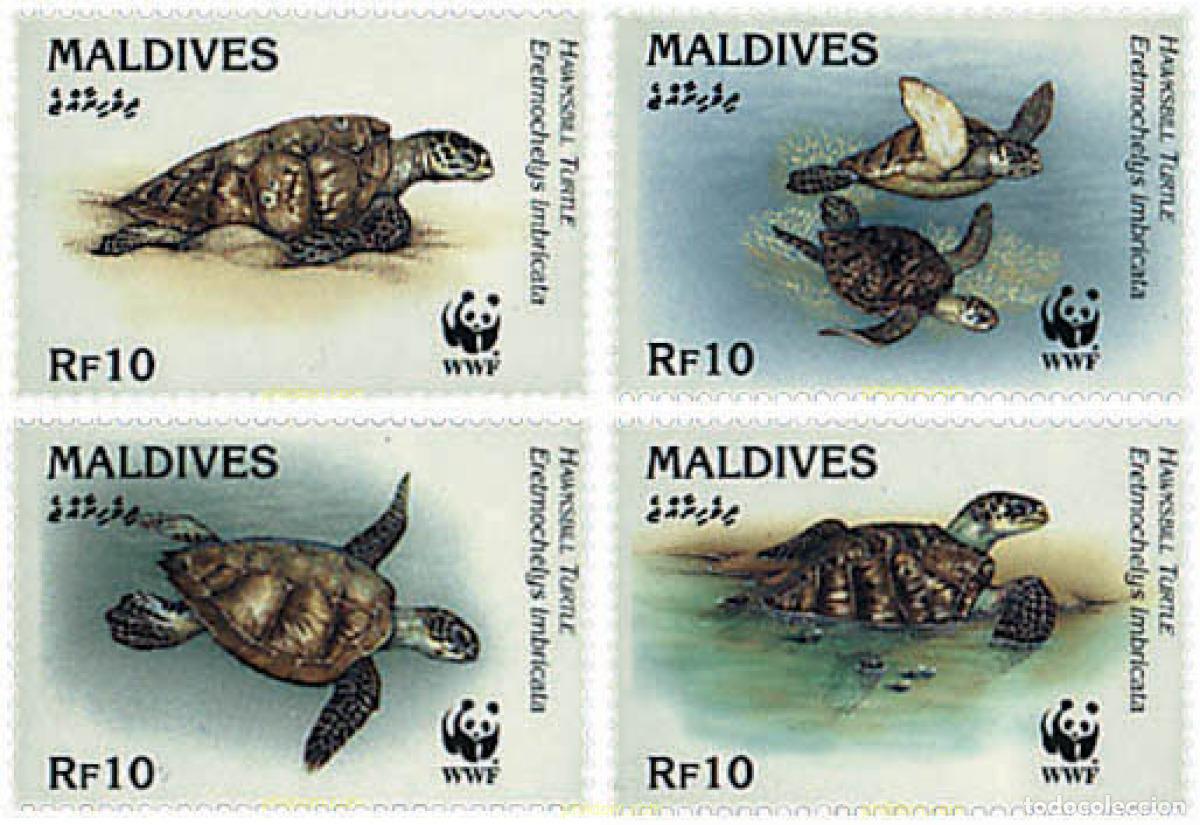 Sellos: 74142 MNH MALDIVAS 1995 TORTUGA CAREY