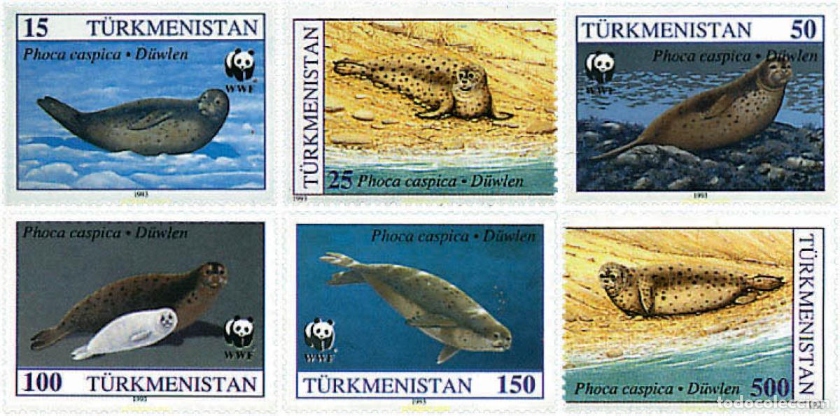 Sellos: 233045 MNH TURKMENISTAN 1993 FOCA DEL CASPIO