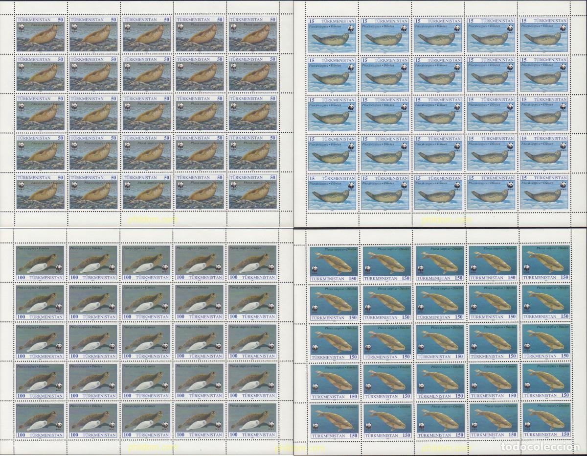 Sellos: 577074 MNH TURKMENISTAN 1993 FOCA DEL CASPIO