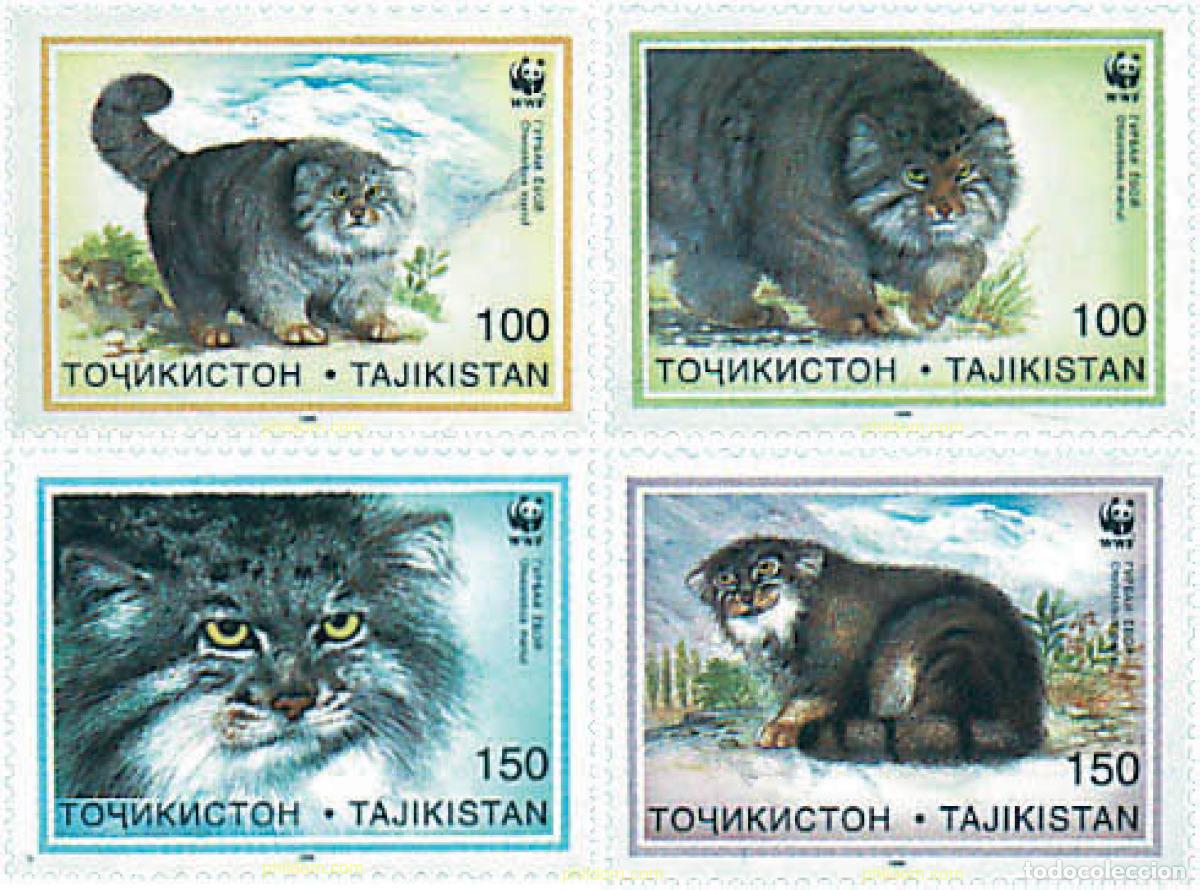 Sellos: 74150 MNH TAYIKISTAN 1996 GATO DE PALLAS