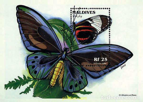 Sellos: 220919 MNH MALDIVAS 1996 MARIPOSAS