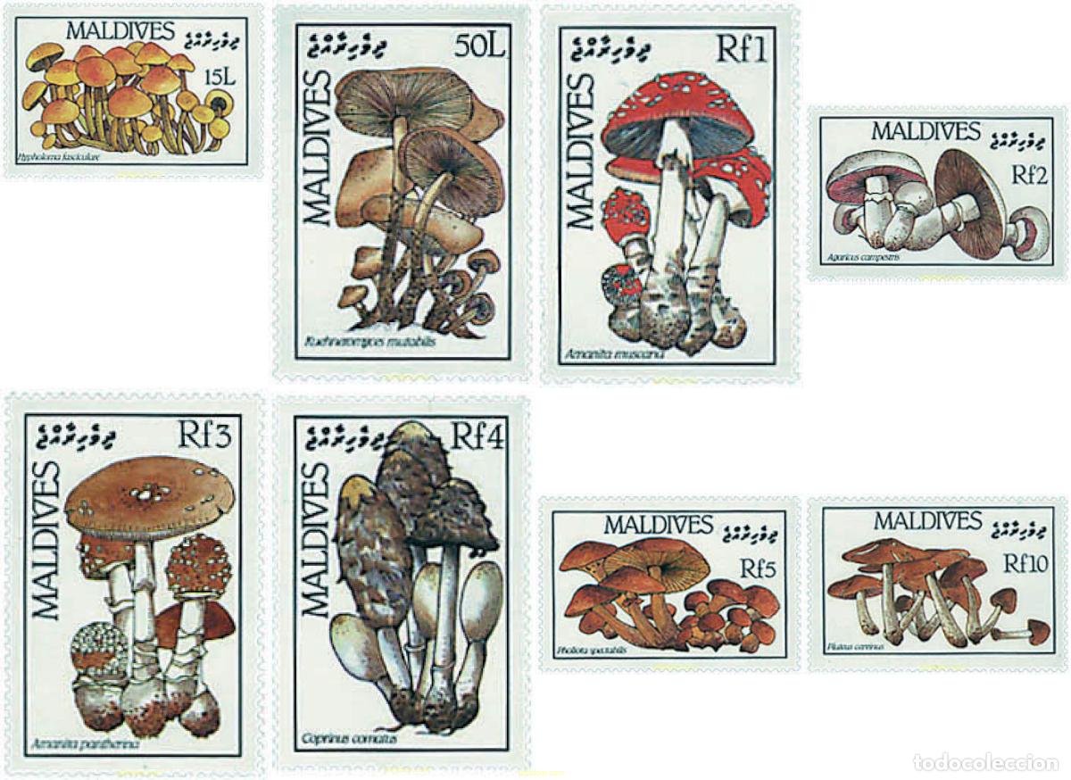 Sellos: 37531 MNH MALDIVAS 1986 SETAS