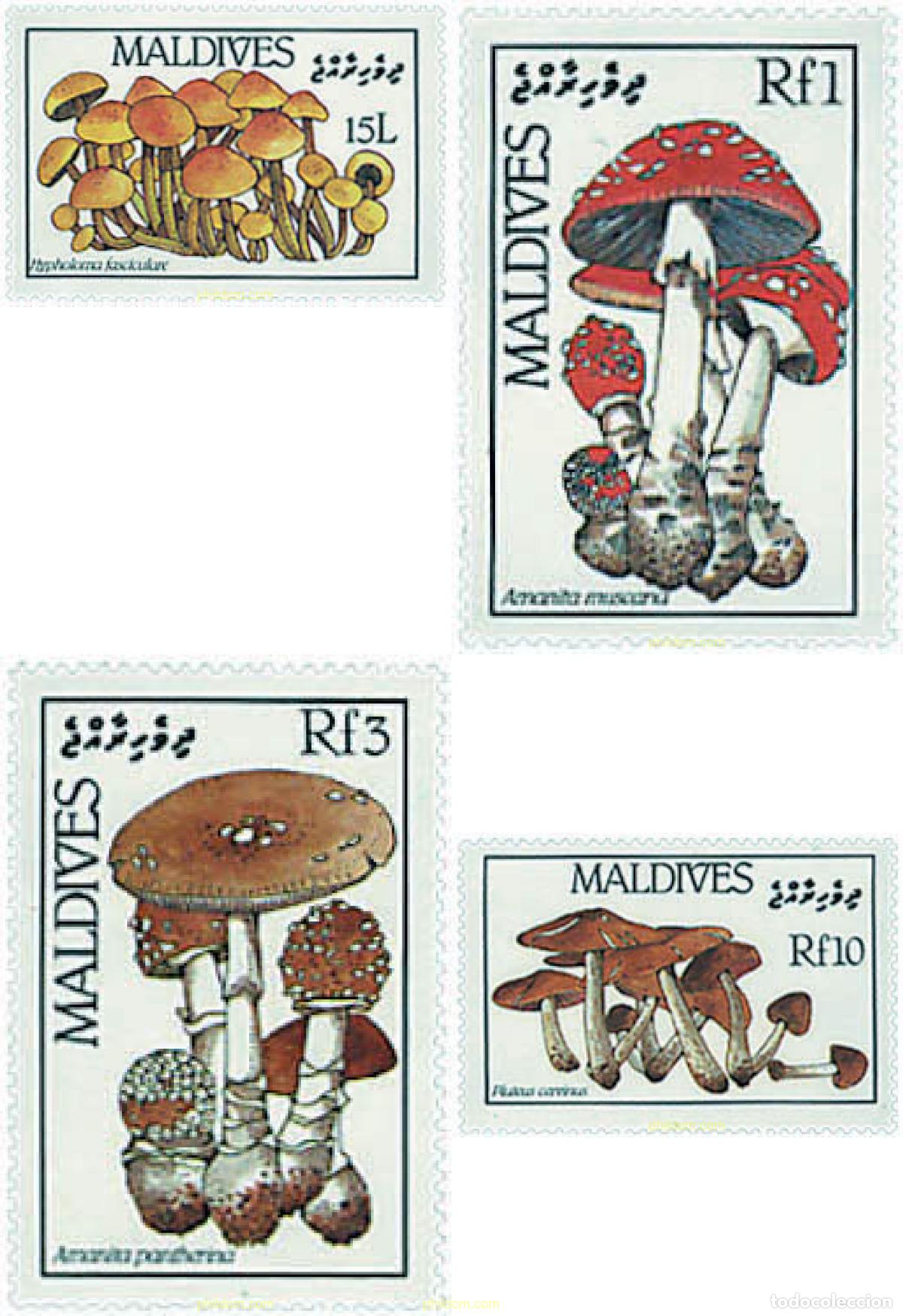 Sellos: 221138 MNH MALDIVAS 1986 SETAS