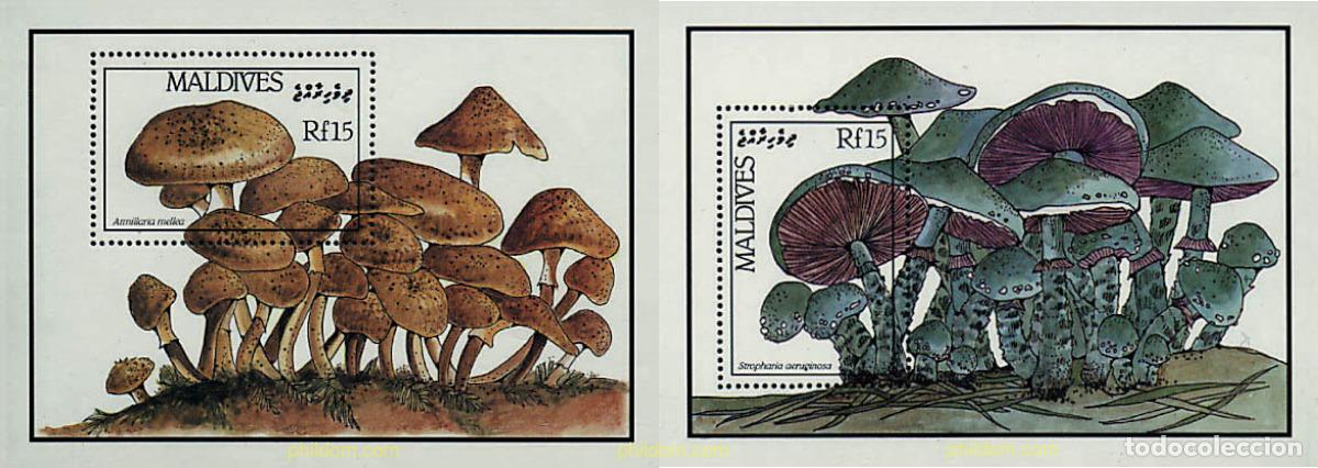 Sellos: 34552 MNH MALDIVAS 1986 SETAS