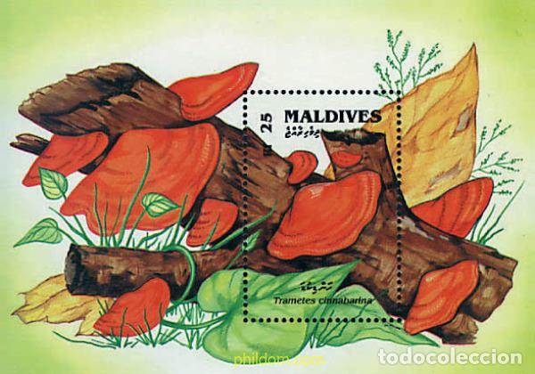 Sellos: 220928 MNH MALDIVAS 1992 SETAS