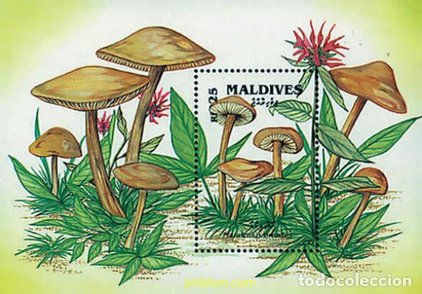 Sellos: 340790 MNH MALDIVAS 1992 SETAS
