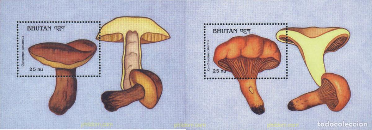 Sellos: 292724 MNH BHUTAN 1989 SETAS