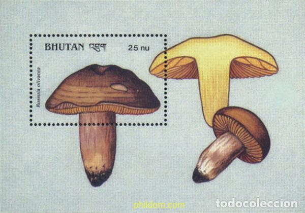 Sellos: 293097 MNH BHUTAN 1989 SETAS
