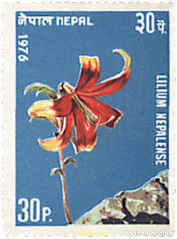 Sellos: 229091 MNH NEPAL 1976 FLORES