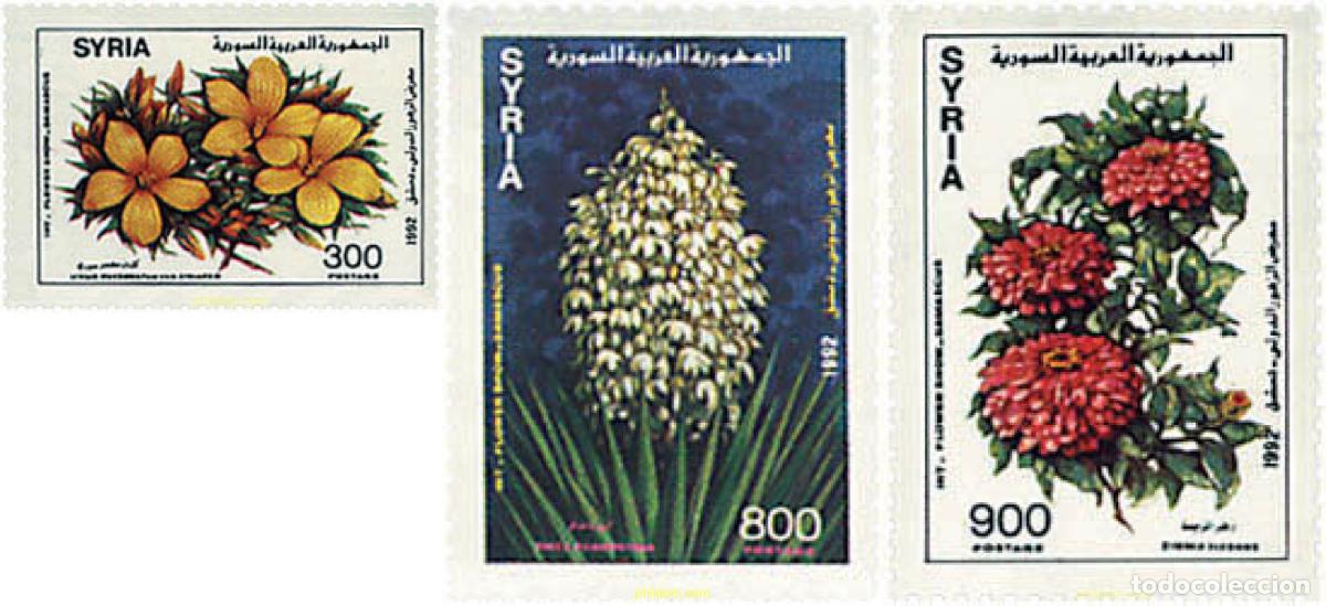 Sellos: 93620 MNH SIRIA 1992 FESTIVAL FLORAL INTERNACIONAL EN DAMASCO